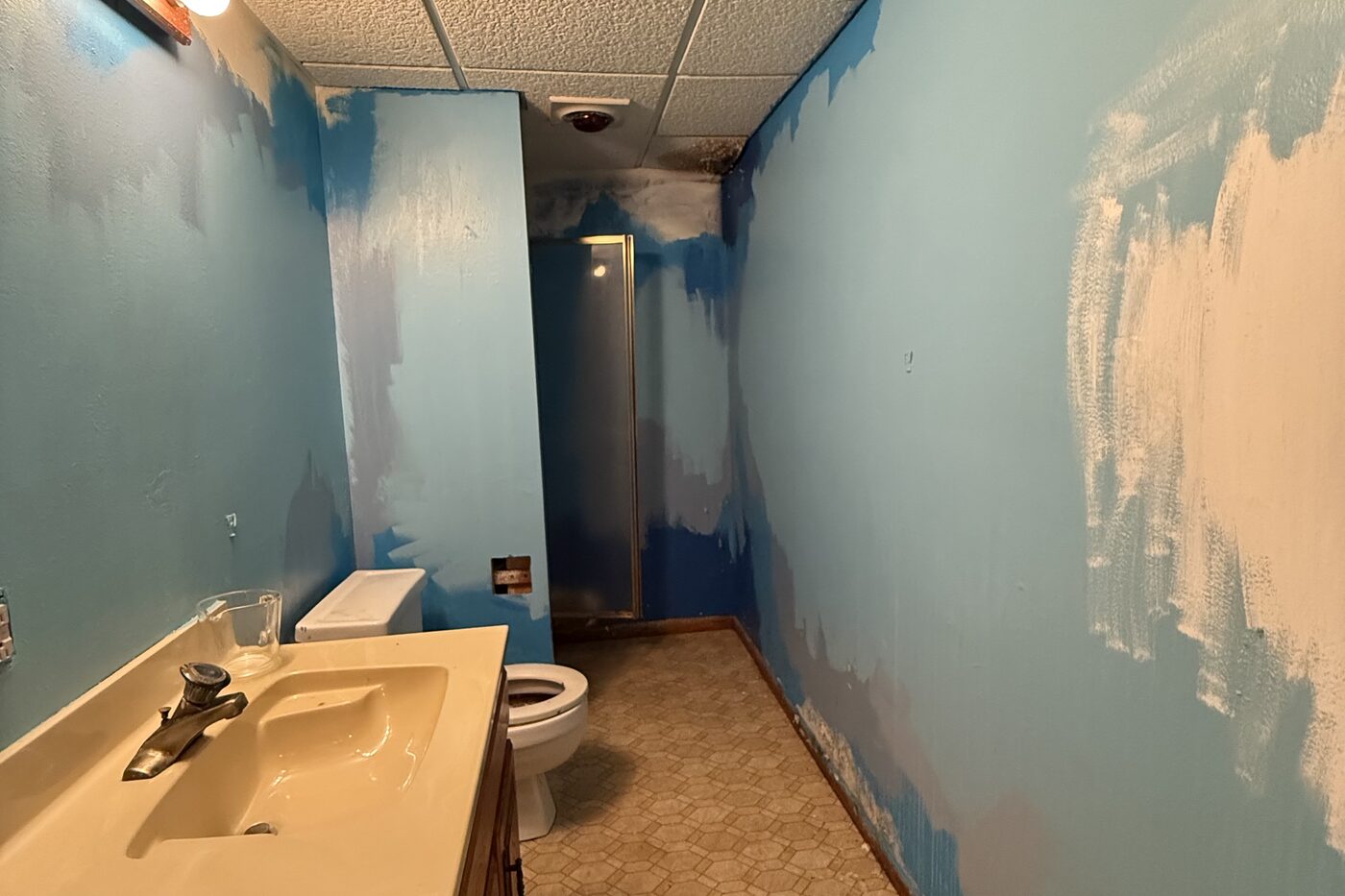 Bathroom before All Things Home worked on it